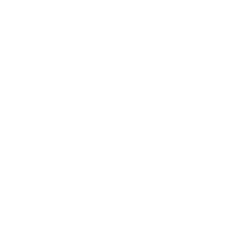 toji berlin life coach leadership coach