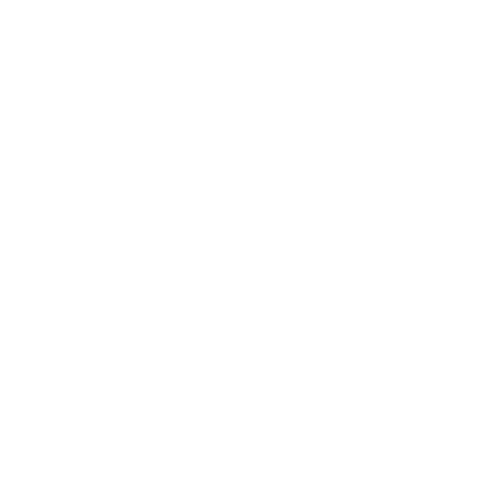 toji berlin life coach leadership coach